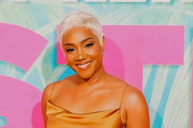 tiffany haddish net worth
